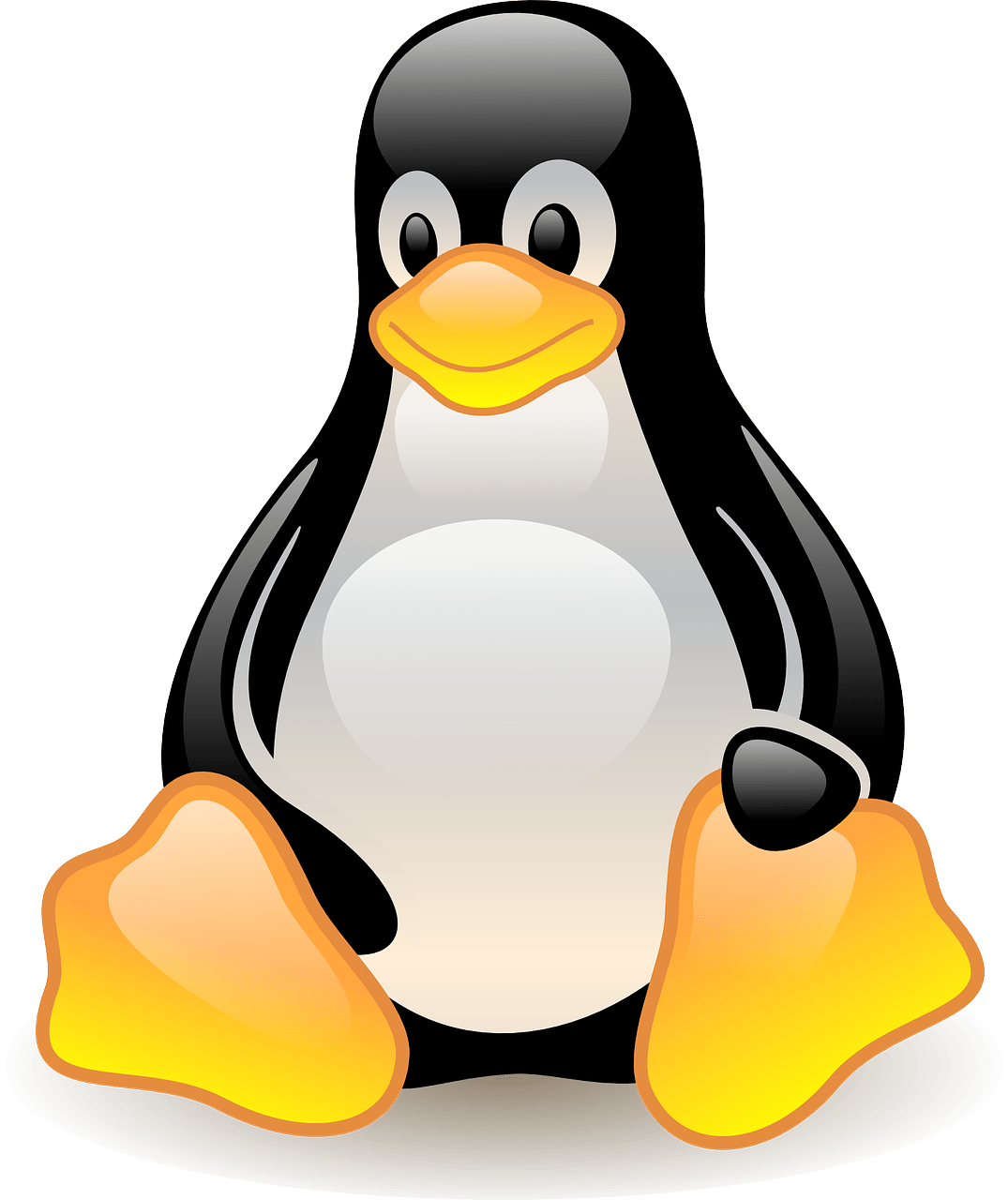 Suse Linux Logo